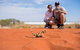 Tnorala (Gosse Bluff) Conservation Reserve - thumb 2
