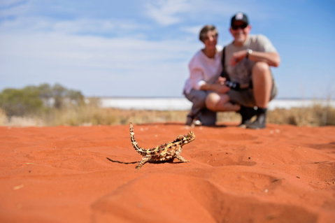 Tnorala (Gosse Bluff) Conservation Reserve - Nambucca Heads Accommodation 2