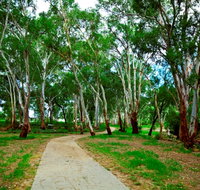 Adungadoo Pathway - Nambucca Heads Accommodation