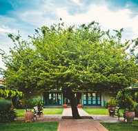 Ainslie  Gorman Arts Centres - Nambucca Heads Accommodation