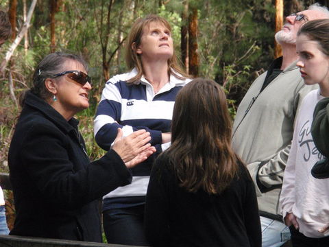 Ancient Empire Walk, Valley Of The Giants - Nambucca Heads Accommodation 1