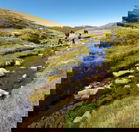 Australian Alps Walking Track - Nambucca Heads Accommodation