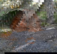 Bindjareb Cultural Park - Nambucca Heads Accommodation