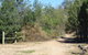 Bindea Walking Track - thumb 1