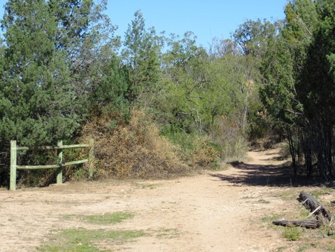 Bindea Walking Track - Nambucca Heads Accommodation 1