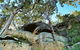 Burrawang Reach Picnic Area - thumb 0