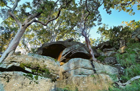 Burrawang Reach Picnic Area - Nambucca Heads Accommodation 0