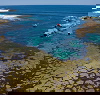 Cathedral Rocks Viewing Platform - Nambucca Heads Accommodation