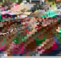 Chinchilla - Nambucca Heads Accommodation