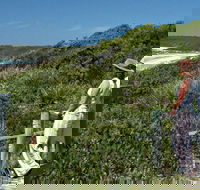 Conjola Beach Picnic Area - Nambucca Heads Accommodation