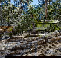Couridjah Corridor Walk - Nambucca Heads Accommodation