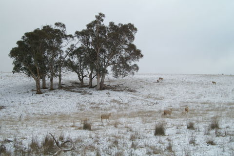 Crookwell Wind Farm - Nambucca Heads Accommodation 2