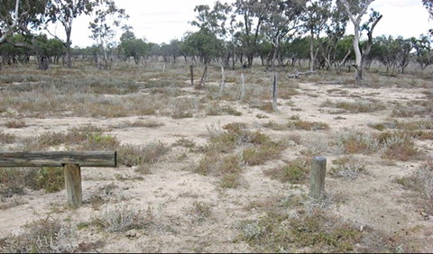 Culgoa Connellys Track - Nambucca Heads Accommodation 0