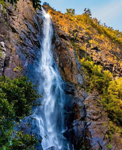 Ellenborough Falls - Nambucca Heads Accommodation 0