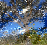 Euroa Arboretum - Nambucca Heads Accommodation