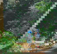 Gloucester National Park - Nambucca Heads Accommodation