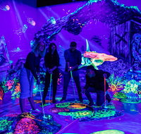 Glowing Rooms 3D Mini Golf - Nambucca Heads Accommodation