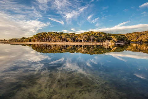 Lashmar Conservation Park - Nambucca Heads Accommodation 0
