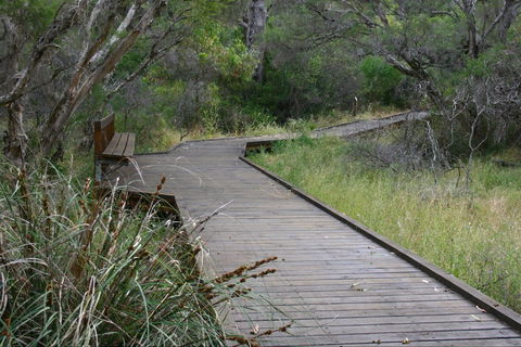 Leschenault Peninsula Conservation Park - Nambucca Heads Accommodation 0