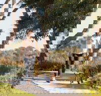 Meningie Walking and Cycling Trails - Nambucca Heads Accommodation