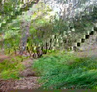 Meroo Lake walking track - Nambucca Heads Accommodation