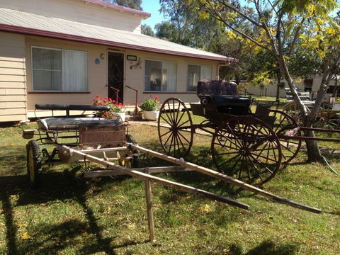 Mr And Mrs Behan Sulky Display - Nambucca Heads Accommodation 0