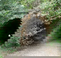 Mushroom Tunnel - Nambucca Heads Accommodation