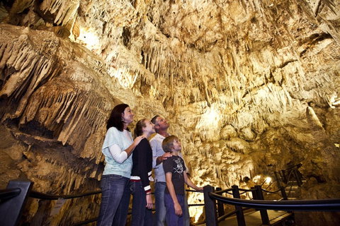 Ngilgi Cave - Nambucca Heads Accommodation 1