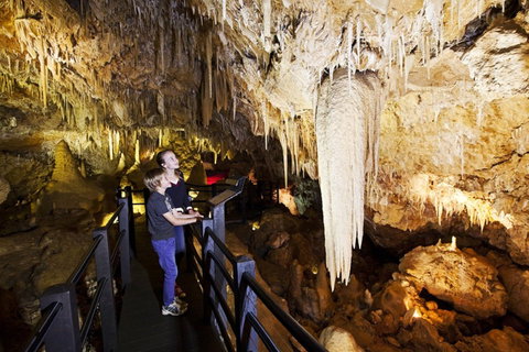 Ngilgi Cave - Nambucca Heads Accommodation 2