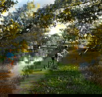 North Western Fishing Trail - Nambucca Heads Accommodation