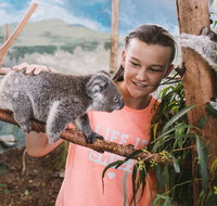 Oakvale Wildlife Park - Nambucca Heads Accommodation
