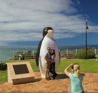 Penguin - Nambucca Heads Accommodation