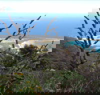 Strzelecki Peaks Great Short Walk - Nambucca Heads Accommodation