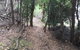 The Lady Barron Foreshore Walk - thumb 1