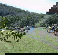 Timbertops - Horse Riding - Nambucca Heads Accommodation