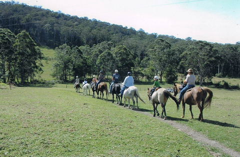 Timbertops - Horse Riding - Nambucca Heads Accommodation 0
