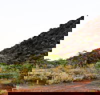 Whyalla Conservation Park - Nambucca Heads Accommodation