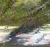 Berry Springs - Nambucca Heads Accommodation