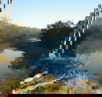 Bilya Walk Track - Nambucca Heads Accommodation
