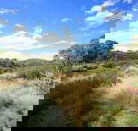 Bullocks walking track - Nambucca Heads Accommodation