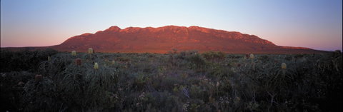 Cape Arid National Park - Nambucca Heads Accommodation 2