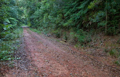 Cascade Mountain Bike Trail - Nambucca Heads Accommodation 0