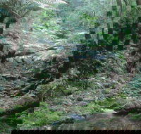 Corn Trail - Nambucca Heads Accommodation