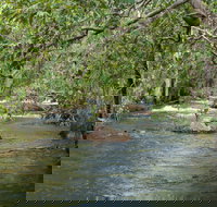 Florence Creek walk - Nambucca Heads Accommodation