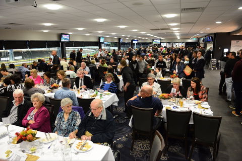 Geelong Greyhound Racing Club - The Beckley Centre - Nambucca Heads Accommodation 1