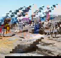 Gondwana Coast Fossil Walk - Nambucca Heads Accommodation