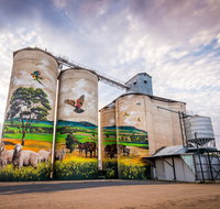 Grenfell Commodities Silos - Nambucca Heads Accommodation