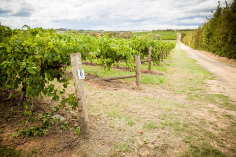 Grove Estate Wines - Nambucca Heads Accommodation 0