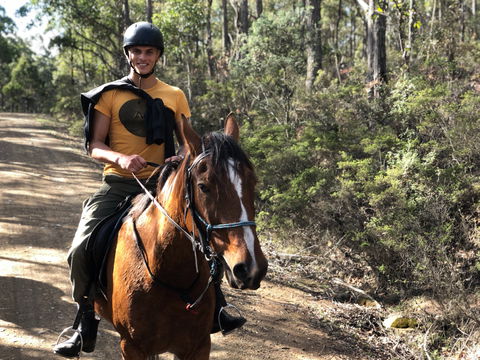 Horse Riding Tasmania - Nambucca Heads Accommodation 2
