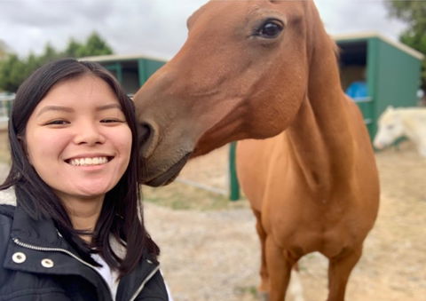 Horses Teaching Humans - Nambucca Heads Accommodation 0